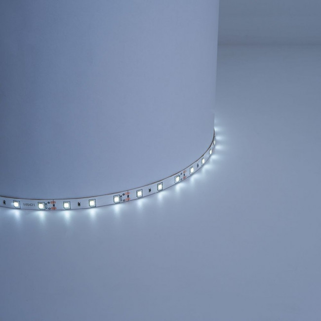 Светодиодная LED лента Feron LS603, 60SMD(2835)/m 4.8W/m 12V 1m 6500К, артикул FERON 27744