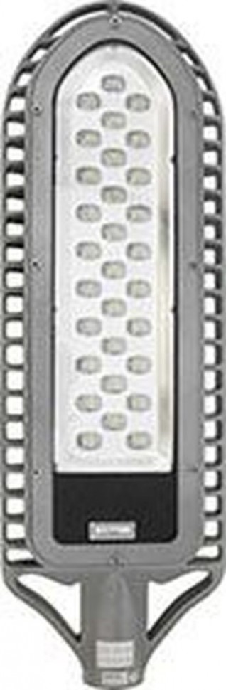 Уличный светодиодный светильник 30LED/1W  AC90-265V серебро (IP65), SP2550