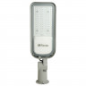Светодиодный уличный консольный светильник Feron SP3060 100W холодный свет (6400K), серый 48687 
