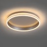 Светодиодный управляемый накладной светильник Feron AL5880 Shinning ring 80W теплый-дневной-холодный свет (3000К-6500K) серебро 41695 