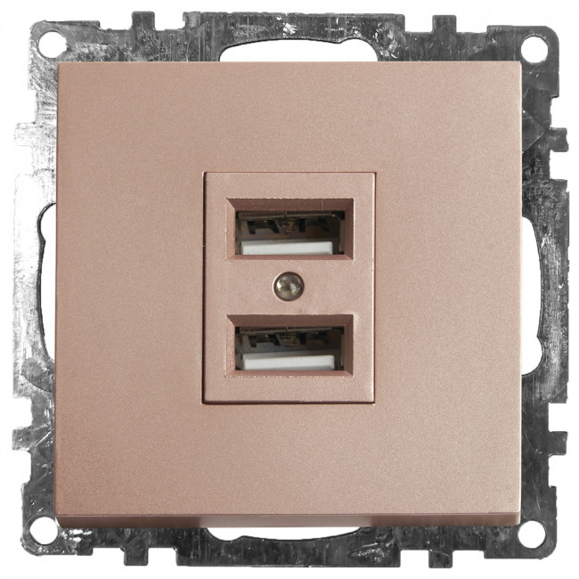 Розетка USB 2-местная (механизм), STEKKER GLS10-7115-02, 250B, 2,1A, серия Катрин, шампань, артикул STEKKER 39602