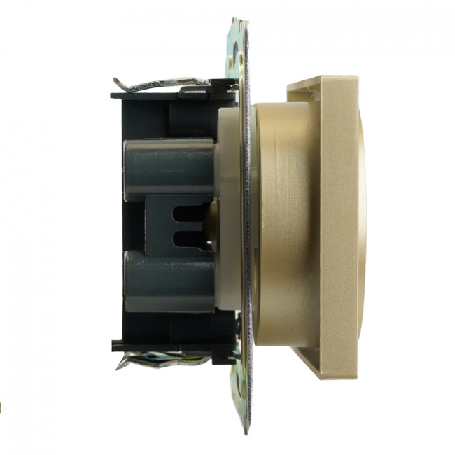 GLS10-7113-08 Розетка 2-местная с защитной шторкой (механизм) б/з, 250В, 10А, серия Катрин, золото, артикул STEKKER 49225 GLS10-7113-08 Розетка 2-местная с защитной шторкой (механизм) б/з, 250В, 10А, серия Катрин, золото, артикул STEKKER 49225