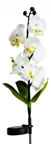 Светильник садово-парковый на солнечной батарее "Орхидея белая с желтым", 5 LED  белый, 70см , PL301